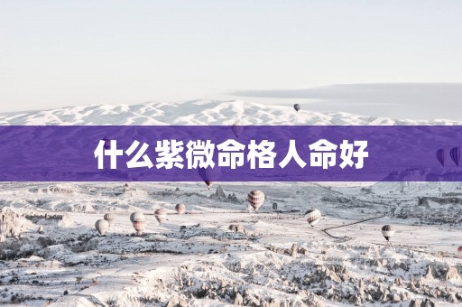 什么紫微命格人命好