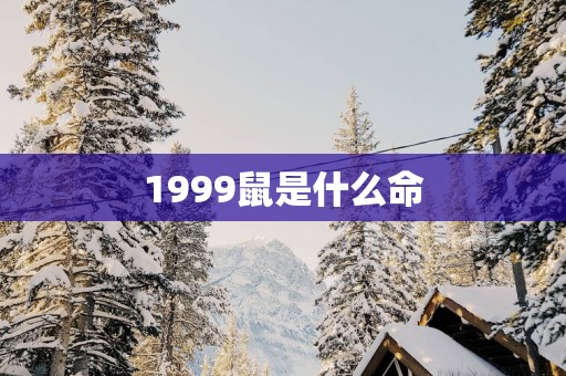 1999鼠是什么命