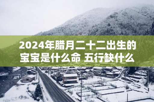 2025年腊月二十二出生的宝宝是什么命 五行缺什么