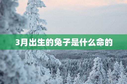 3月出生的兔子是什么命的