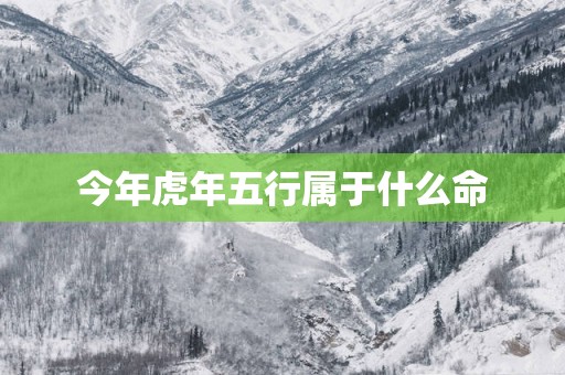今年蛇年五行属于什么命