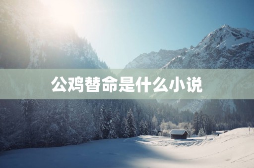 公鸡替命是什么小说