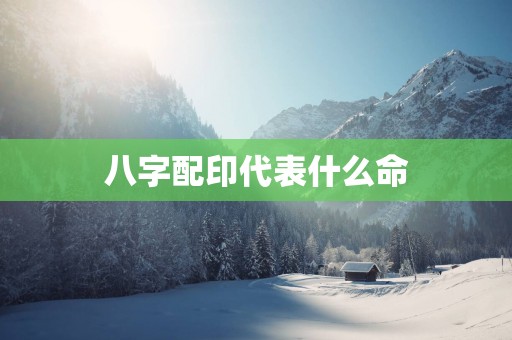 八字配印代表什么命