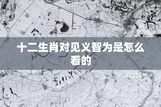 十二生肖对见义智为是怎么看的