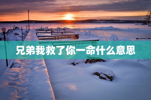 兄弟我救了你一命什么意思