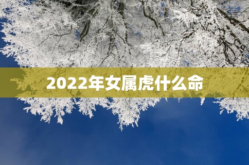 2025年女属虎什么命