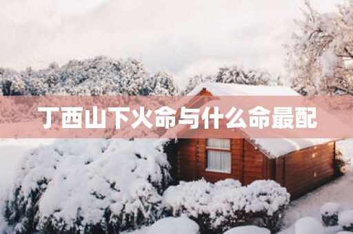 丁西山下火命与什么命最配