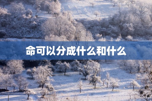 命可以分成什么和什么