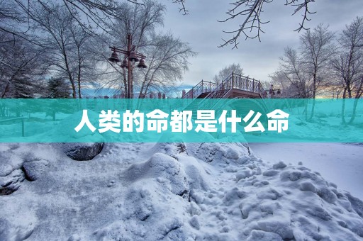 人类的命都是什么命