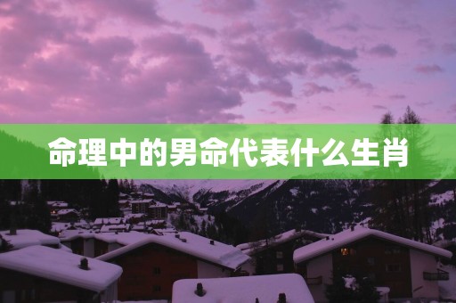 命理中的男命代表什么生肖