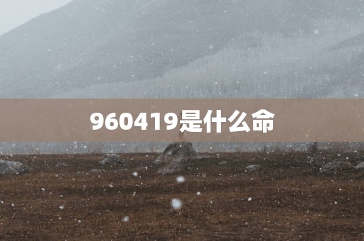 960419是什么命