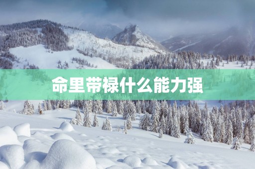 命里带禄什么能力强