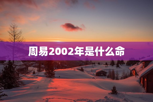 周易2002年是什么命