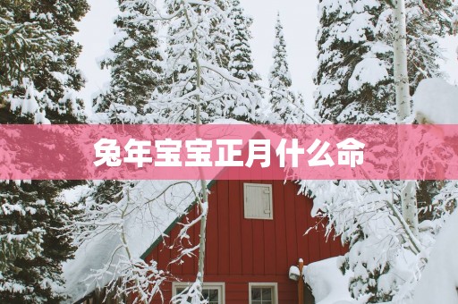 蛇年宝宝正月什么命