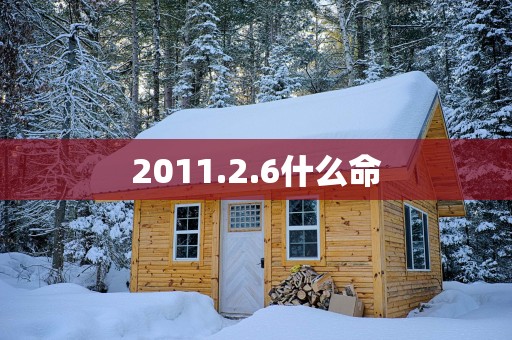 2011.2.6什么命