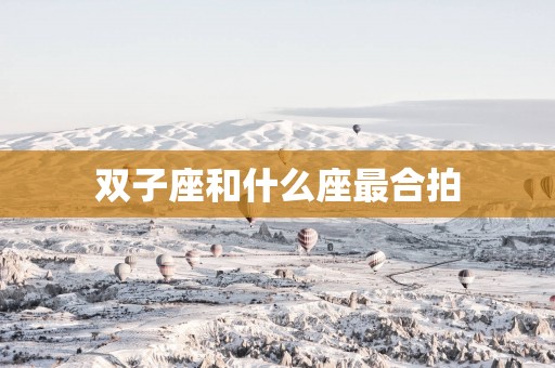 双子座和什么座最合拍