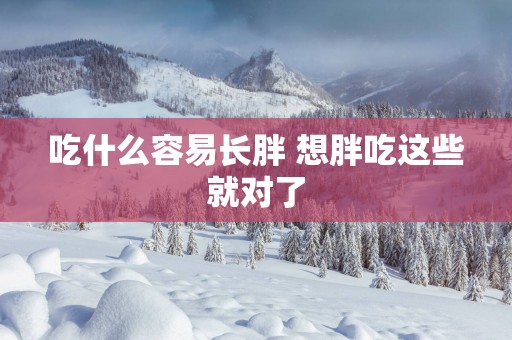 吃什么容易长胖 想胖吃这些就对了