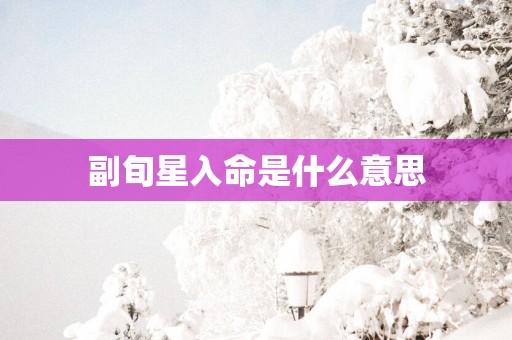 副旬星入命是什么意思