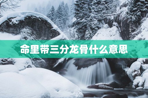 命里带三分龙骨什么意思