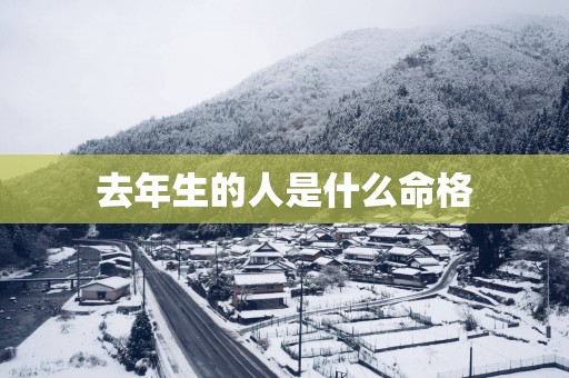 去年生的人是什么命格