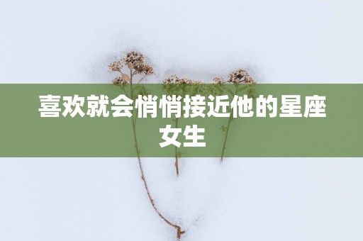喜欢就会悄悄接近他的星座女生