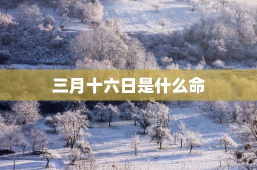 三月十六日是什么命