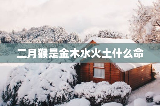 二月猴是金木水火土什么命