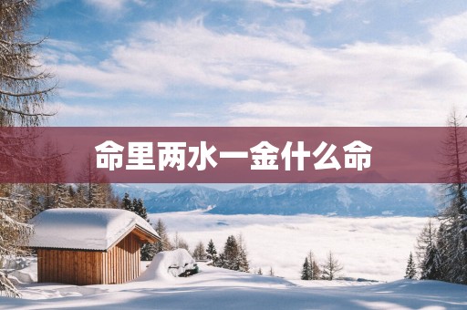 命里两水一金什么命