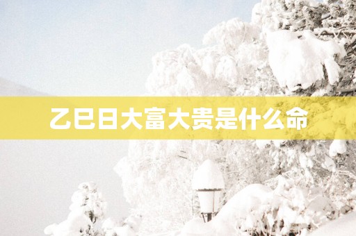 乙巳日大富大贵是什么命