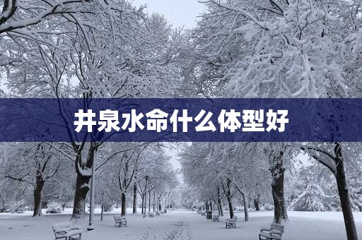 井泉水命什么体型好