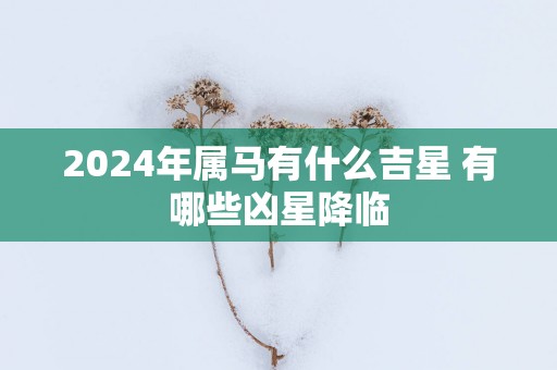 2024年属马有什么吉星 有哪些凶星降临