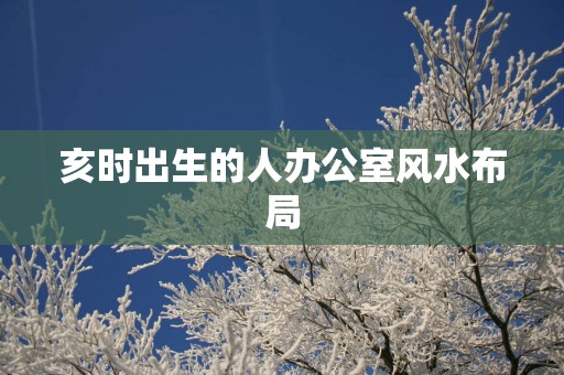 亥时出生的人办公室风水布局