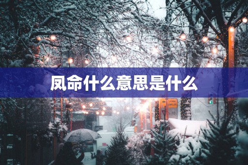凤命什么意思是什么