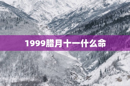 1999腊月十一什么命