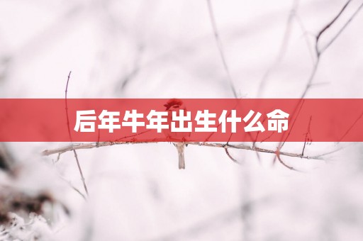 后年牛年出生什么命