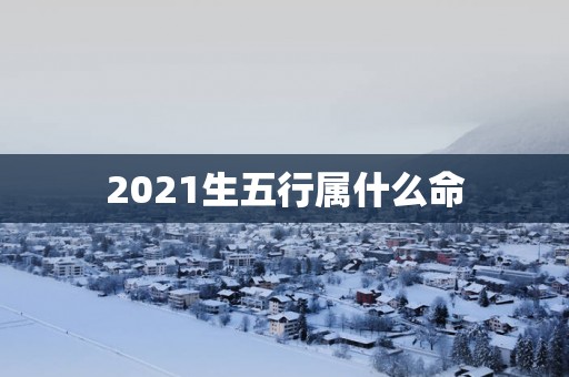 2025生五行属什么命