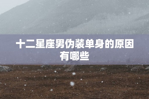 十二星座男伪装单身的原因有哪些