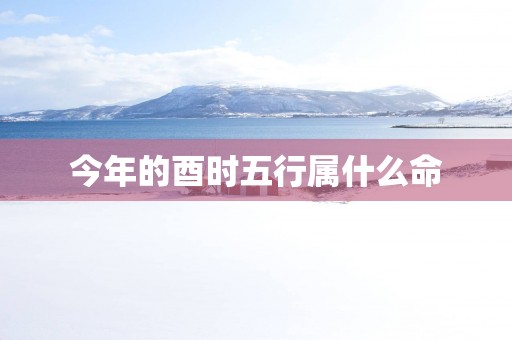 今年的酉时五行属什么命