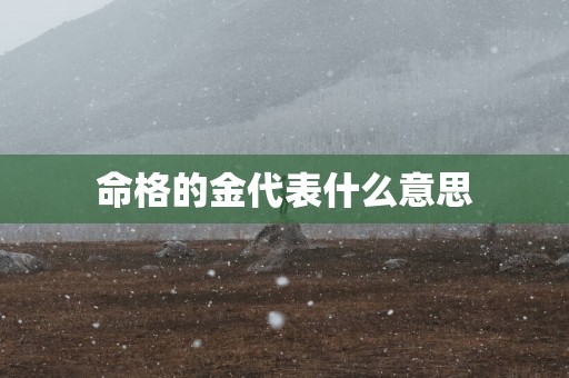 命格的金代表什么意思