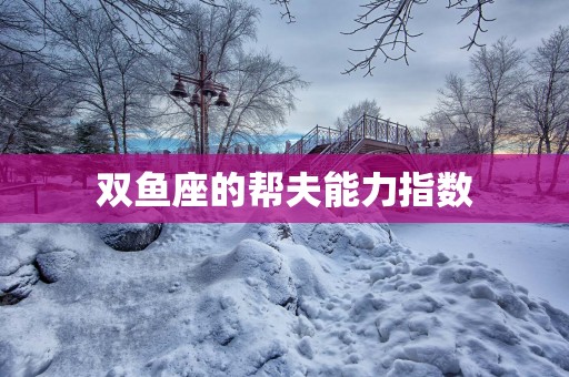 双鱼座的帮夫能力指数 双鱼座的帮夫能力指数