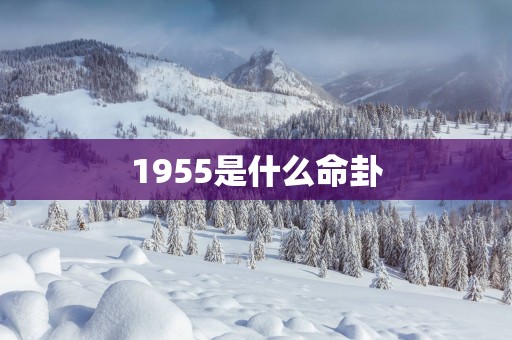 1955是什么命卦