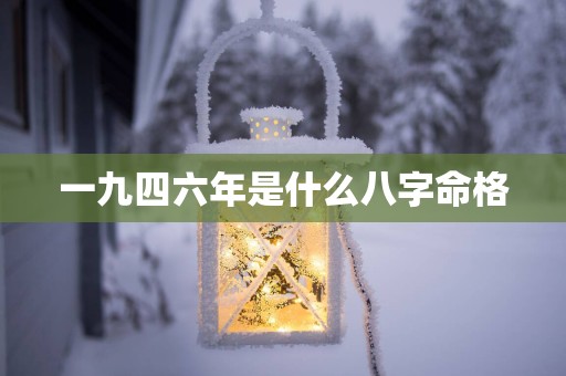 一九四六年是什么八字命格