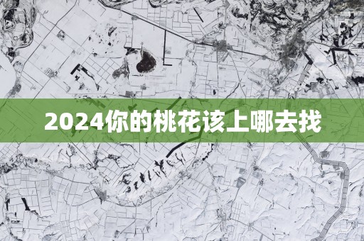 2025你的桃花该上哪去找