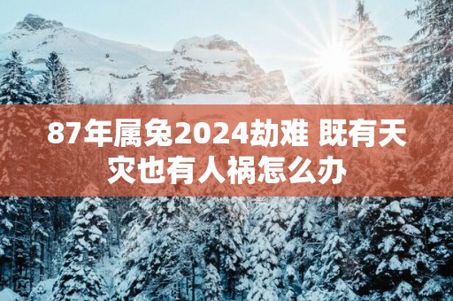 87年属兔2025劫难 既有天灾也有人祸怎么办