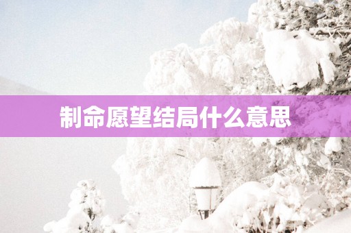 制命愿望结局什么意思