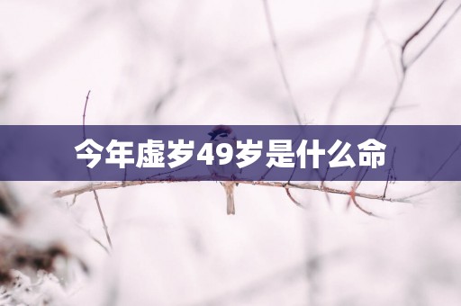 今年虚岁49岁是什么命