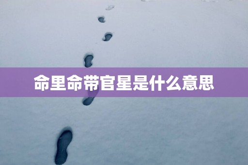 命里命带官星是什么意思