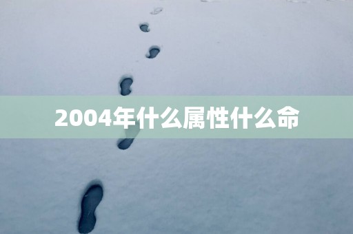2004年什么属性什么命