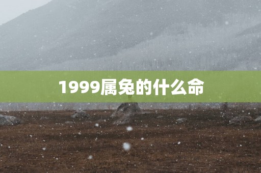 1999属兔的什么命