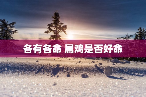 各有各命 属鸡是否好命